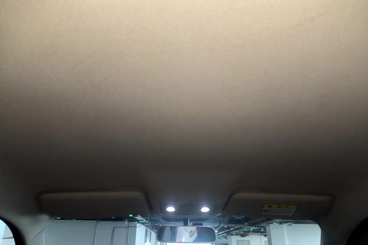 Used Leapmotor T03 2021 400 Lite Edition Lithium Iron Phosphate Headliner