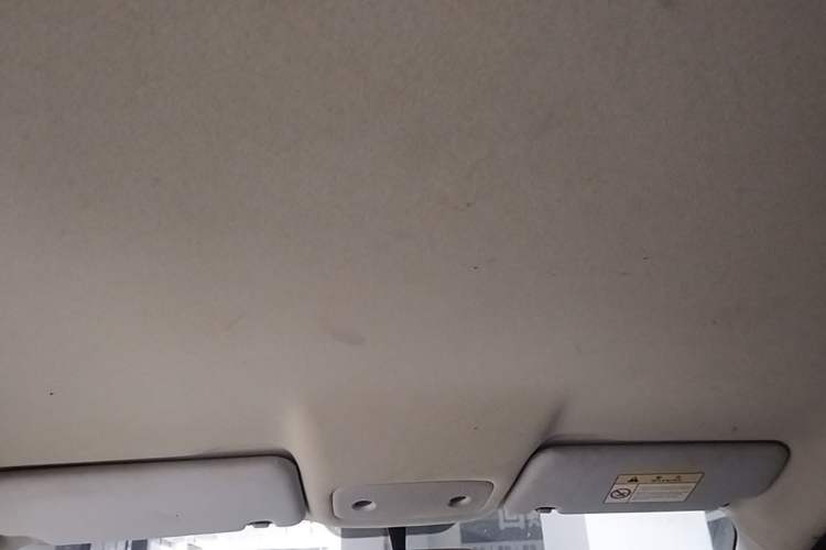Used Leapmotor T03 2021 400 Lite Edition Lithium Iron Phosphate Headliner
