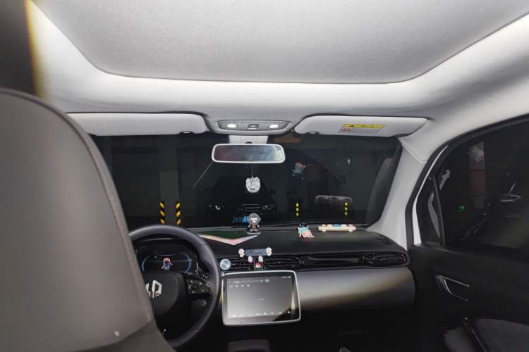 Used Leapmotor T03 2021 400 Luxury Edition Headliner