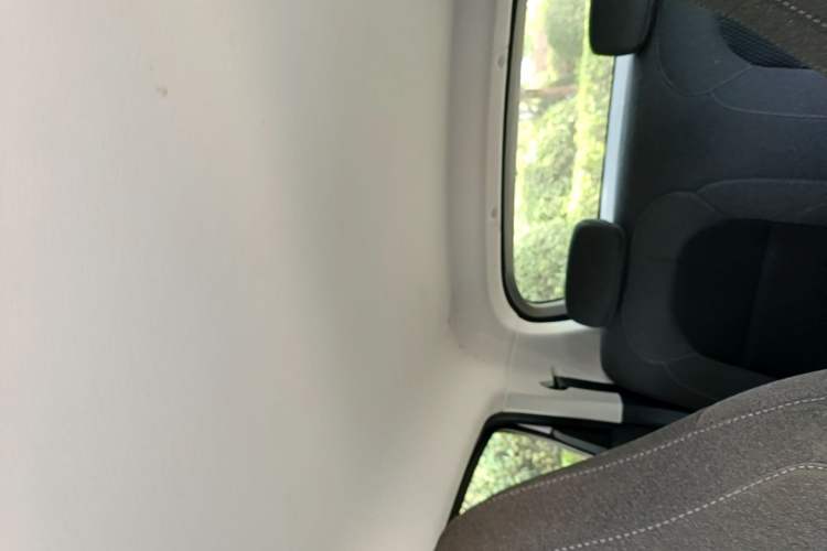 Used Leapmotor T03 2021 400 Lite Edition - Lithium-Ion Battery Headliner