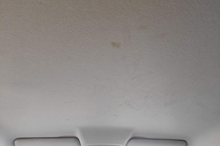 Used Leapmotor T03 2021 400 Micro-Sugar Version Headliner