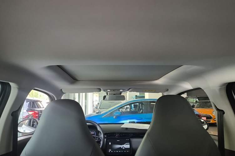 Used Leapmotor T03 2021 400 Luxury Edition Headliner