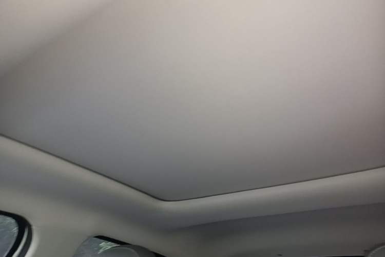 Used Leapmotor T03 2021 400 Micro-Sugar Version Headliner