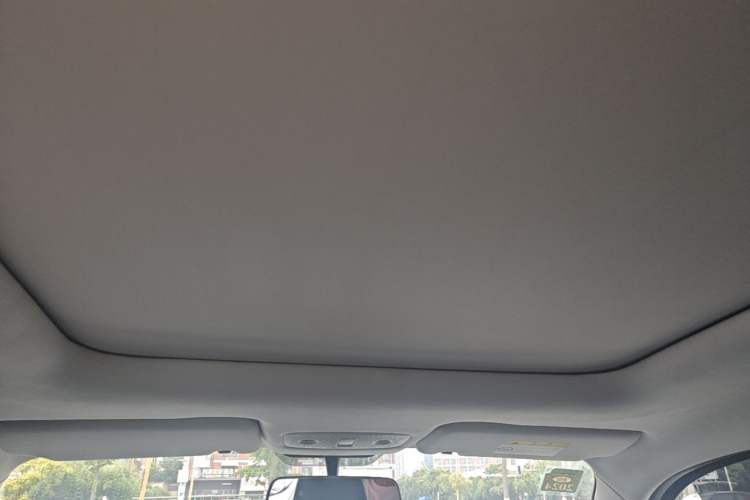 Used Leapmotor T03 2021 400 Comfort Edition Headliner