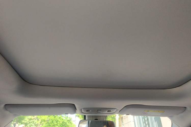 Used Leapmotor T03 2021 400 Luxury Edition Headliner