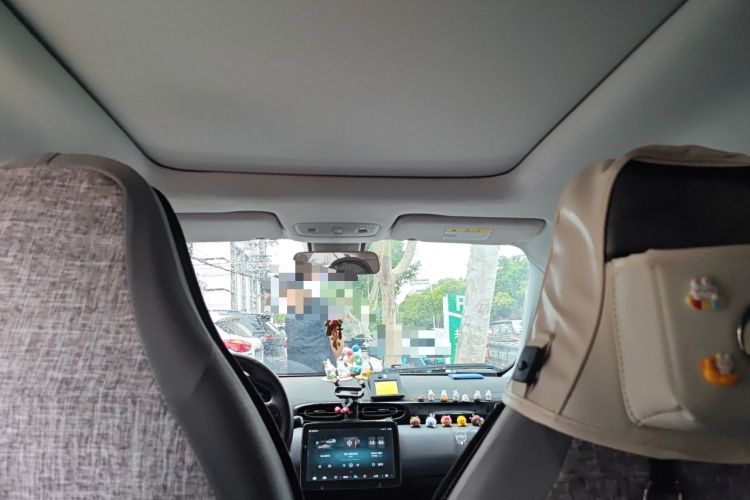 Used Leapmotor T03 2021 400 Luxury Edition Headliner