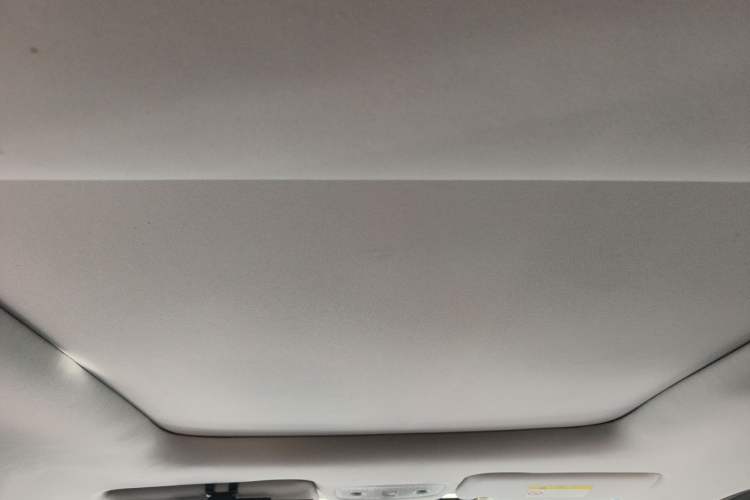 Used Leapmotor T03 2021 400 Luxury Edition Headliner