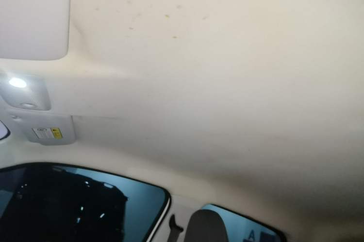 Used Leapmotor T03 2021 400 Lite Edition - Lithium-Ion Battery Headliner
