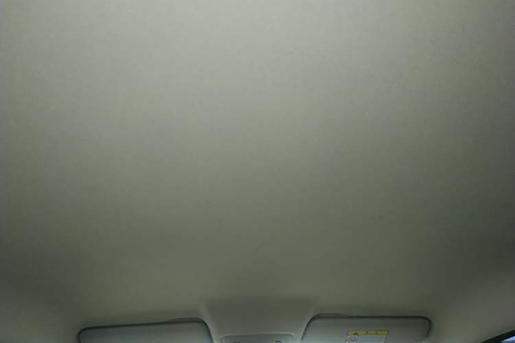 Used Leapmotor T03 2021 400 Lite Edition Lithium Iron Phosphate Headliner