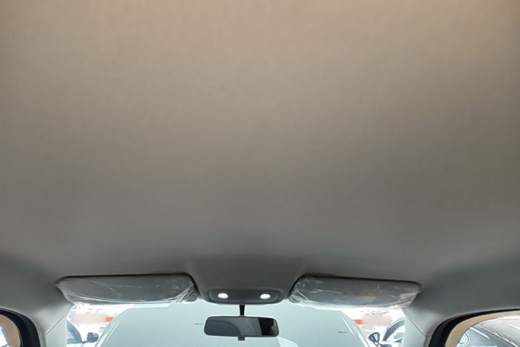 Used Leapmotor T03 2021 400 Lite Edition - Lithium-Ion Battery Headliner
