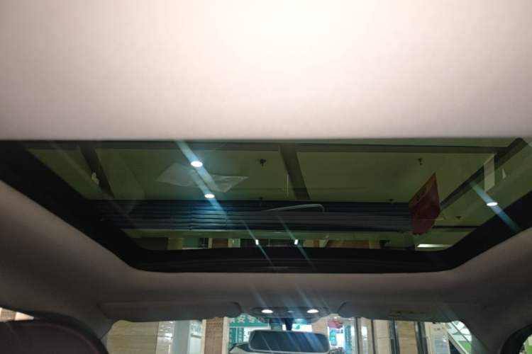 Used Leapmotor T03 2021 400 Comfort Edition Headliner
