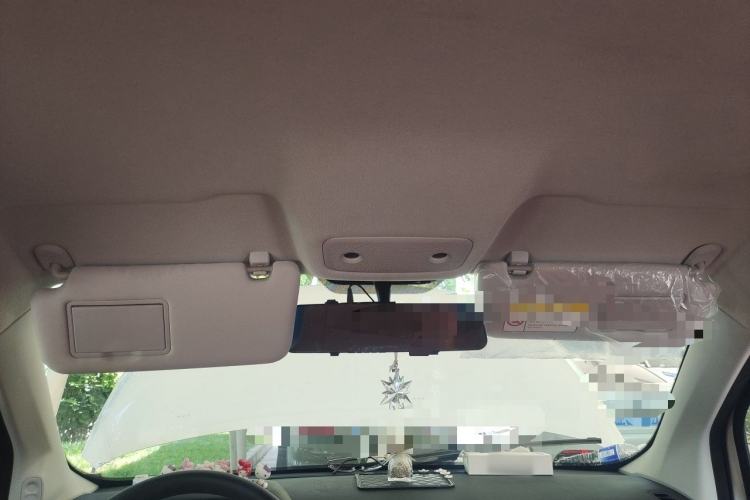 Used Leapmotor T03 2021 400 Lite Edition Lithium Iron Phosphate Headliner
