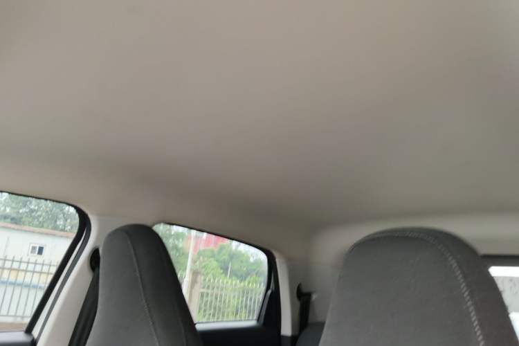 Used Leapmotor T03 2021 400 Micro-Sugar Version Headliner