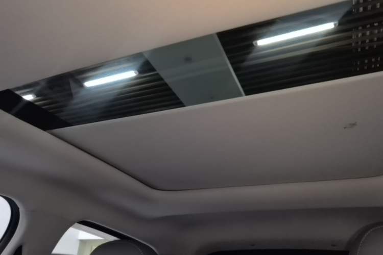 Used Leapmotor T03 2021 400 Comfort Edition Headliner