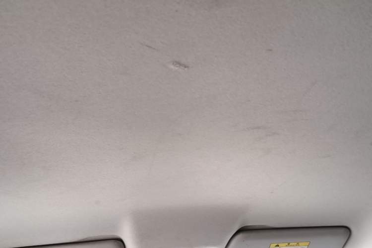 Used Leapmotor T03 2021 400 Lite Edition Lithium Iron Phosphate Headliner
