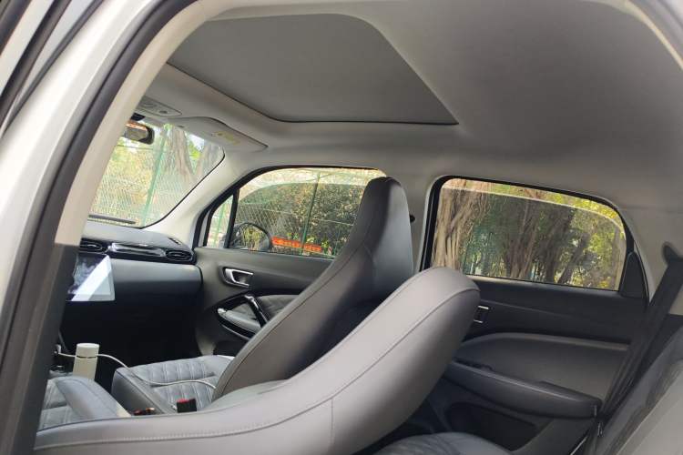 Used Leapmotor T03 2021 400 Luxury Edition Headliner