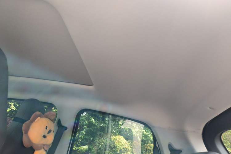 Used Leapmotor T03 2021 400 Luxury Edition Headliner