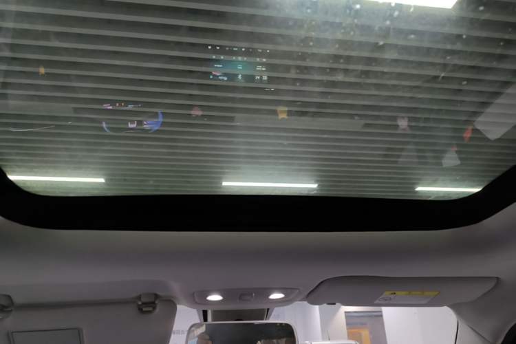 Used Leapmotor T03 2021 400 Luxury Pro Edition Headliner