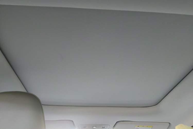 Used Leapmotor T03 2021 400 Comfort Edition Headliner