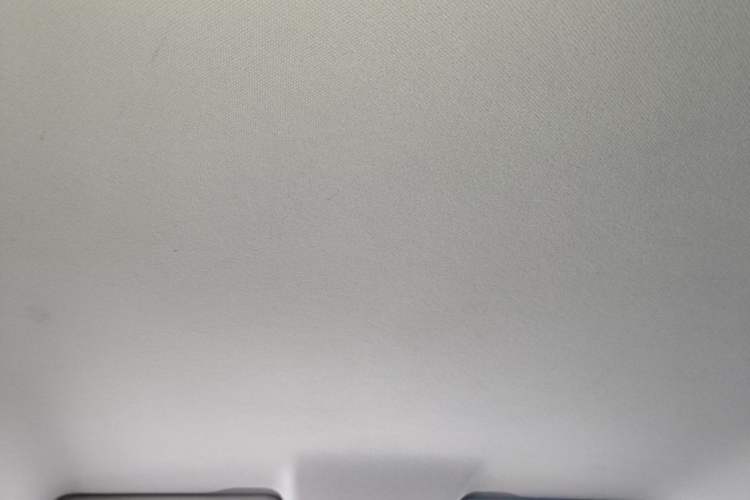 Used Leapmotor T03 2021 400 Lite Edition - Lithium-Ion Battery Headliner