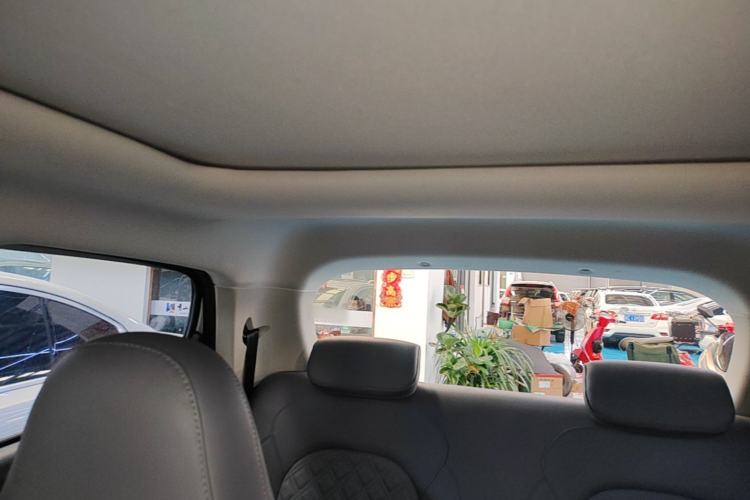 Used Leapmotor T03 2021 400 Luxury Pro Edition Headliner
