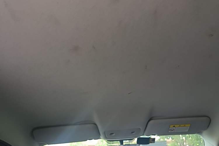 Used Leapmotor T03 2021 400 Lite Edition - Lithium-Ion Battery Headliner