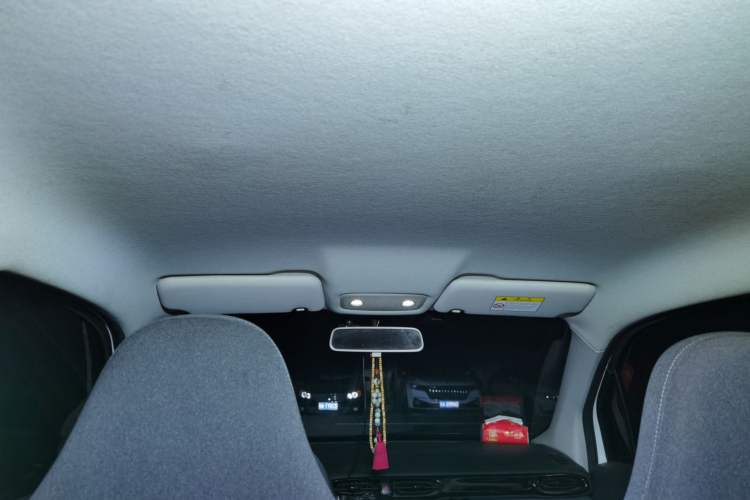 Used Leapmotor T03 2021 400 Micro-Sugar Version Headliner