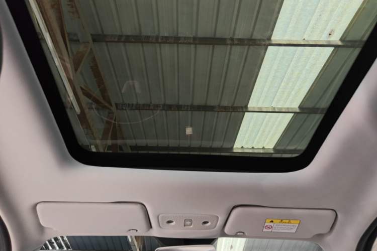 Used Leapmotor T03 2021 400 Comfort Edition Headliner