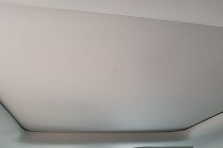 Used Leapmotor T03 2021 400 Comfort Edition Headliner