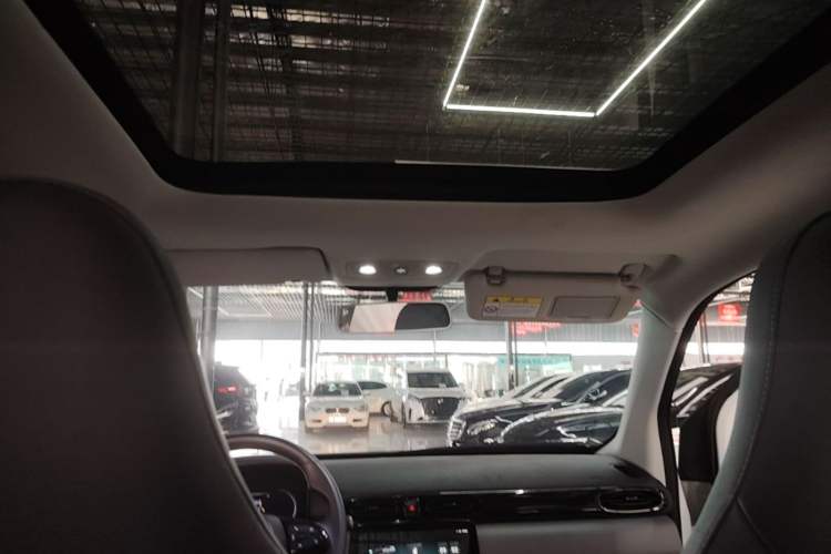 Used Leapmotor T03 2021 400 Comfort Edition Headliner