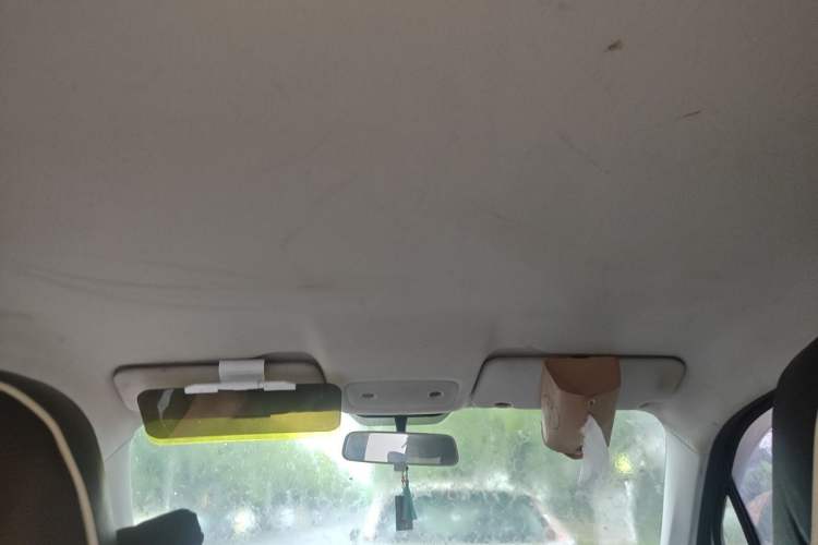 Used Leapmotor T03 2021 400 Lite Edition Lithium Iron Phosphate Headliner