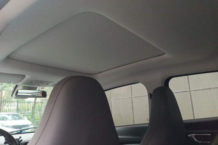 Used Leapmotor T03 2021 400 Luxury Edition Headliner