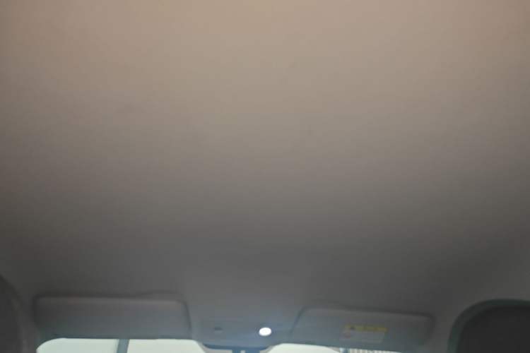Used Leapmotor T03 2021 400 Lite Edition Lithium Iron Phosphate Headliner