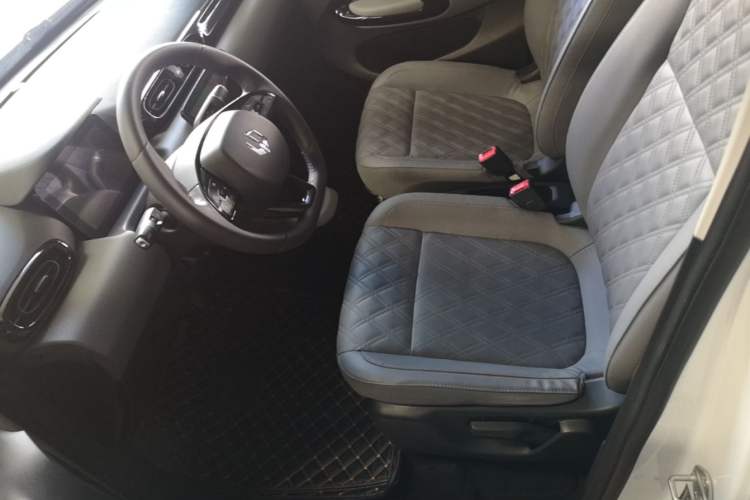 Used Leapmotor T03 2021 400 Luxury Edition Left Front Seat
