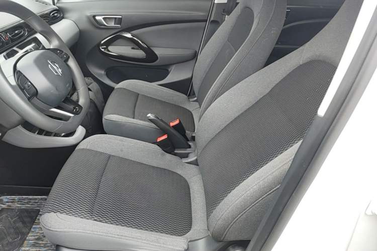 Used Leapmotor T03 2021 400 Online Booking Version Left Front Seat