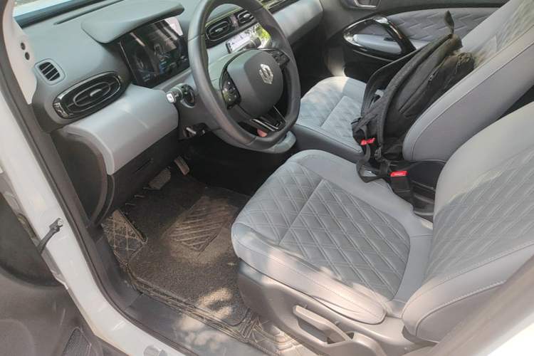 Used Leapmotor T03 2021 400 Luxury Edition Left Front Seat