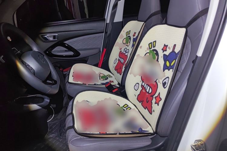 Used Leapmotor T03 2021 400 Luxury Edition Left Front Seat