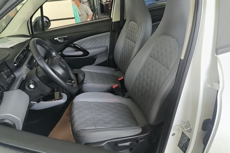 Used Leapmotor T03 2021 400 Luxury Edition Left Front Seat