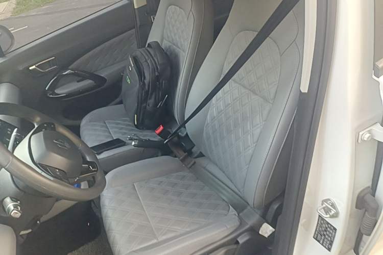 Used Leapmotor T03 2021 400 Micro-Sugar Version Left Front Seat