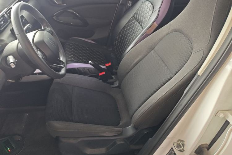 Used Leapmotor T03 2021 400 Online Booking Version Left Front Seat