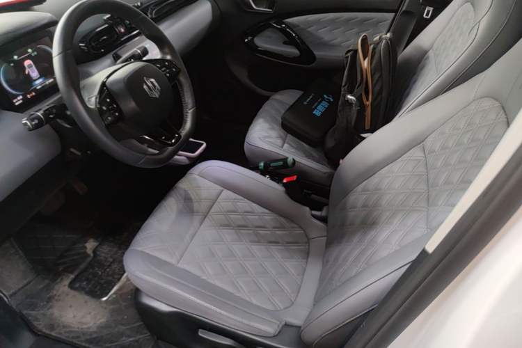 Used Leapmotor T03 2021 400 Luxury Edition Left Front Seat