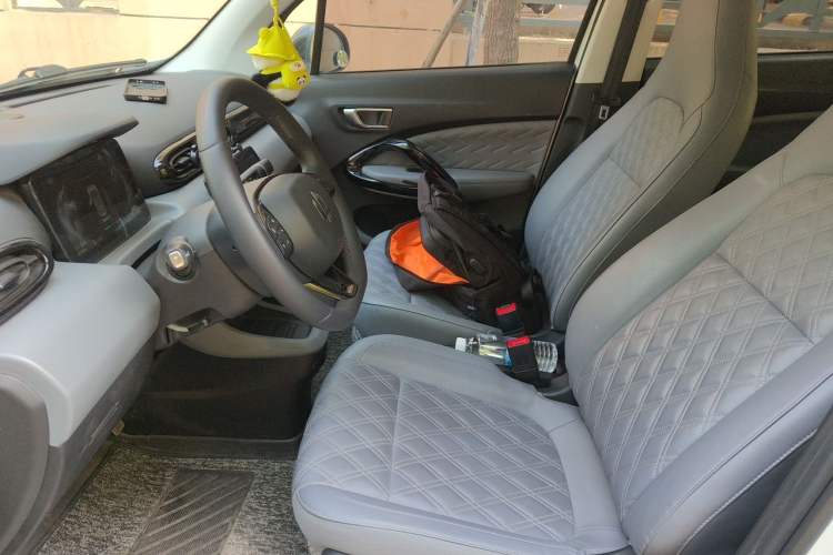 Used Leapmotor T03 2021 400 Luxury Edition Left Front Seat