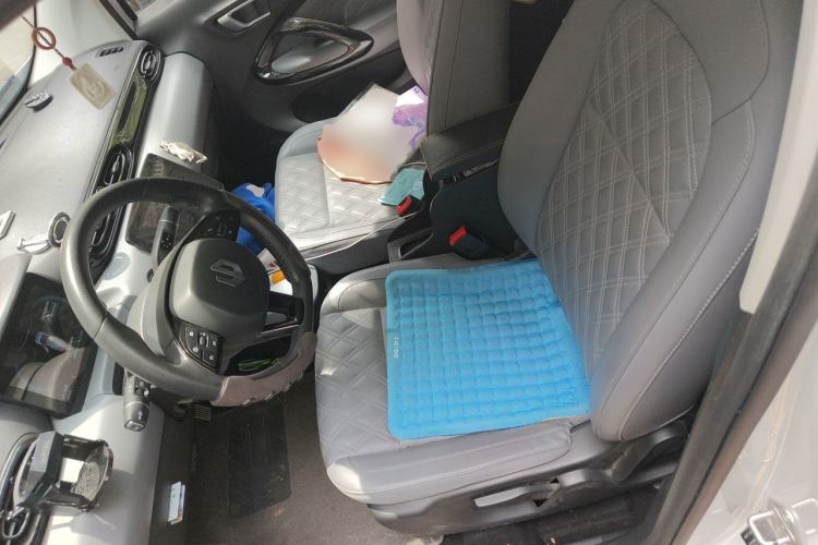 Used Leapmotor T03 2021 400 Luxury Edition Left Front Seat