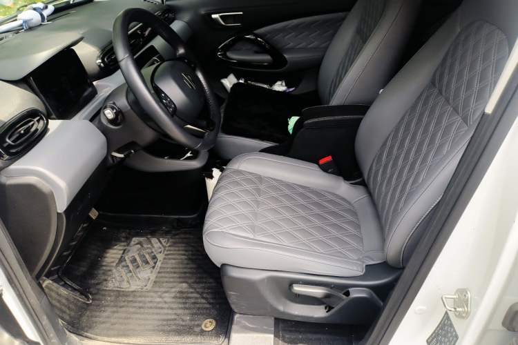 Used Leapmotor T03 2021 400 Luxury Edition Left Front Seat