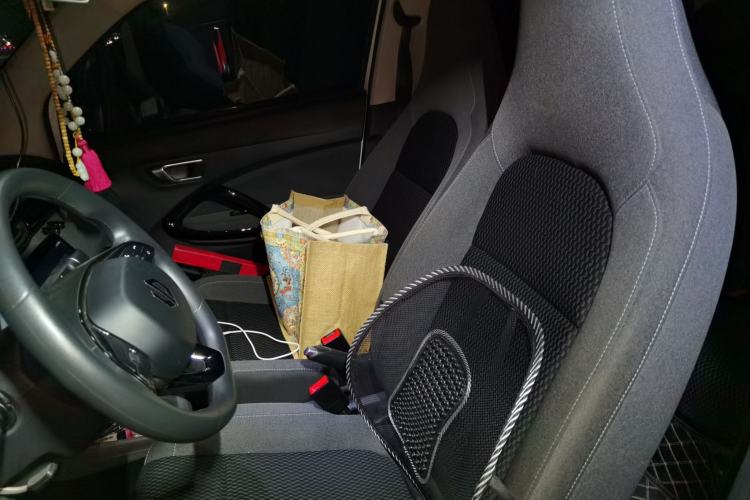 Used Leapmotor T03 2021 400 Micro-Sugar Version Left Front Seat
