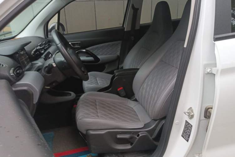 Used Leapmotor T03 2021 400 Luxury Edition Left Front Seat