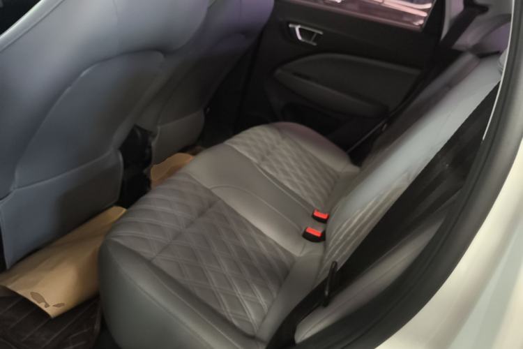 Used Leapmotor T03 2021 400 Luxury Edition Left Rear Seat