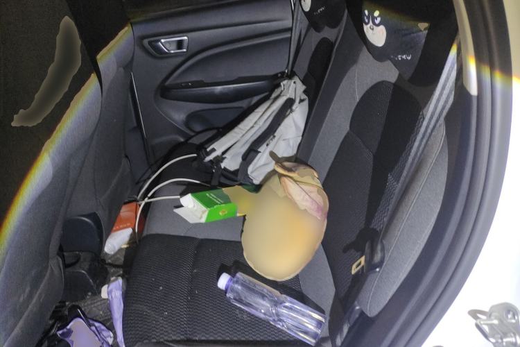 Used Leapmotor T03 2021 400 Lite Edition - Lithium-Ion Battery Left Rear Seat