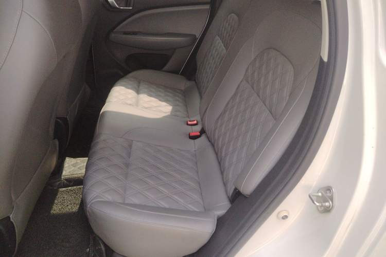 Used Leapmotor T03 2021 400 Luxury Edition Left Rear Seat