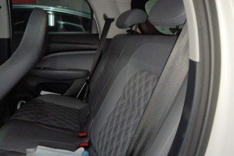 Used Leapmotor T03 2021 400 Luxury Edition Left Rear Seat